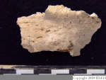 L_V20d5052 A16.78 R827 lR ta parietal fragment showing warping.JPG L_V20d5052 A16.78 R827 lR ta parietal fragment showing warping